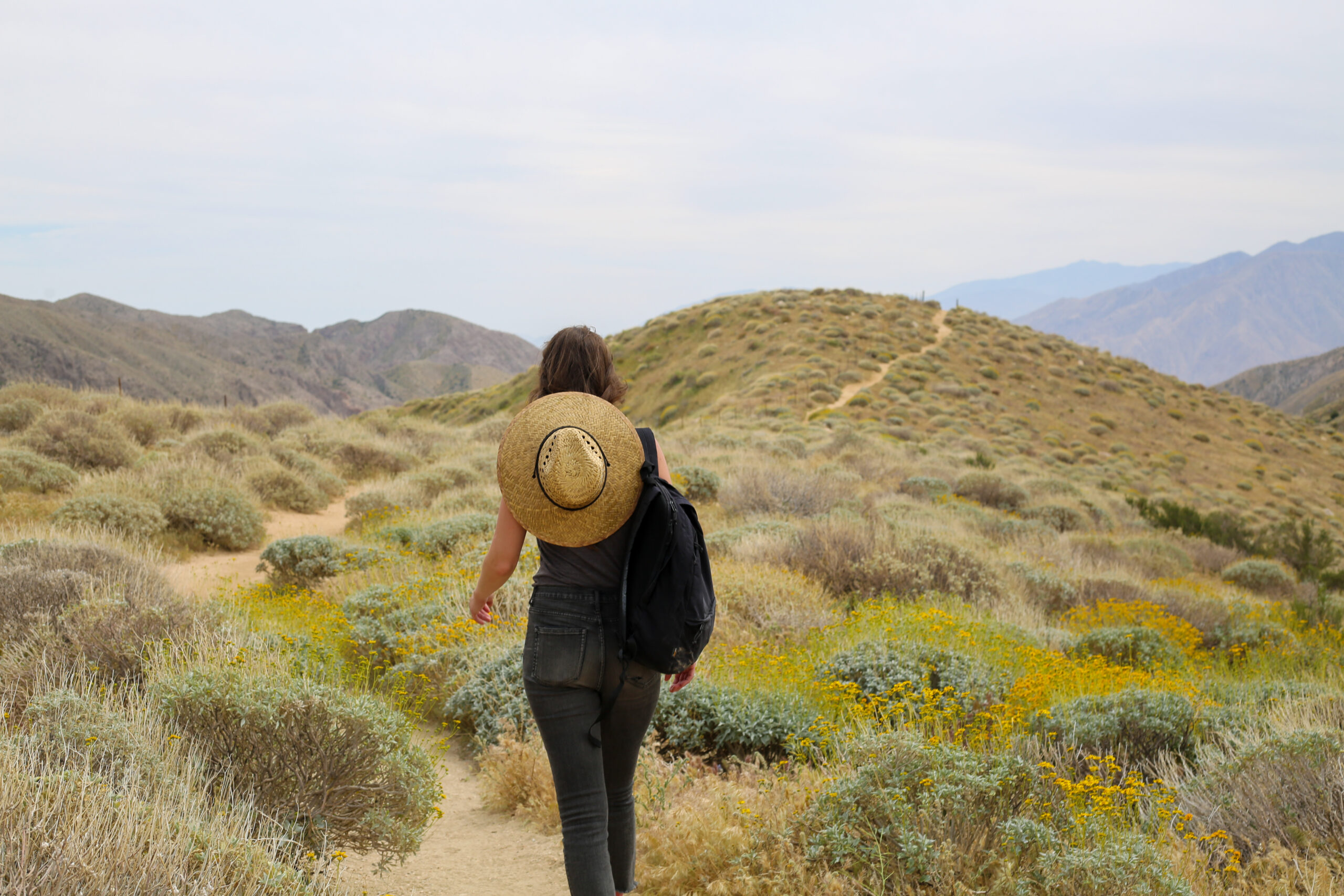 A solo hiker on a desert trail with yellow spring blooms near Palm Springs, California.