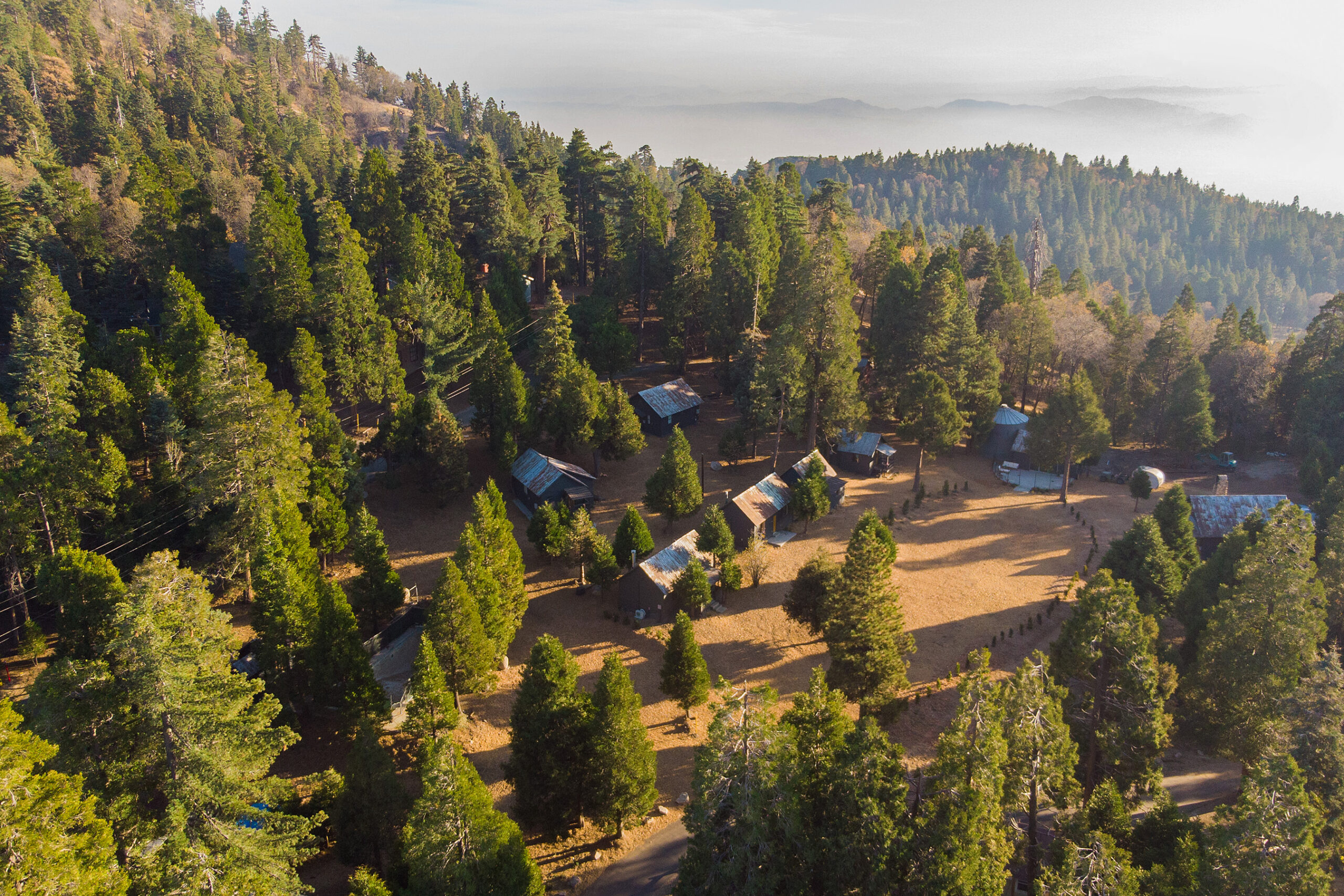 Birds eye view of The Perch's cluster of cabins set amongst conifer trees in Lake Arrowhead, California.
