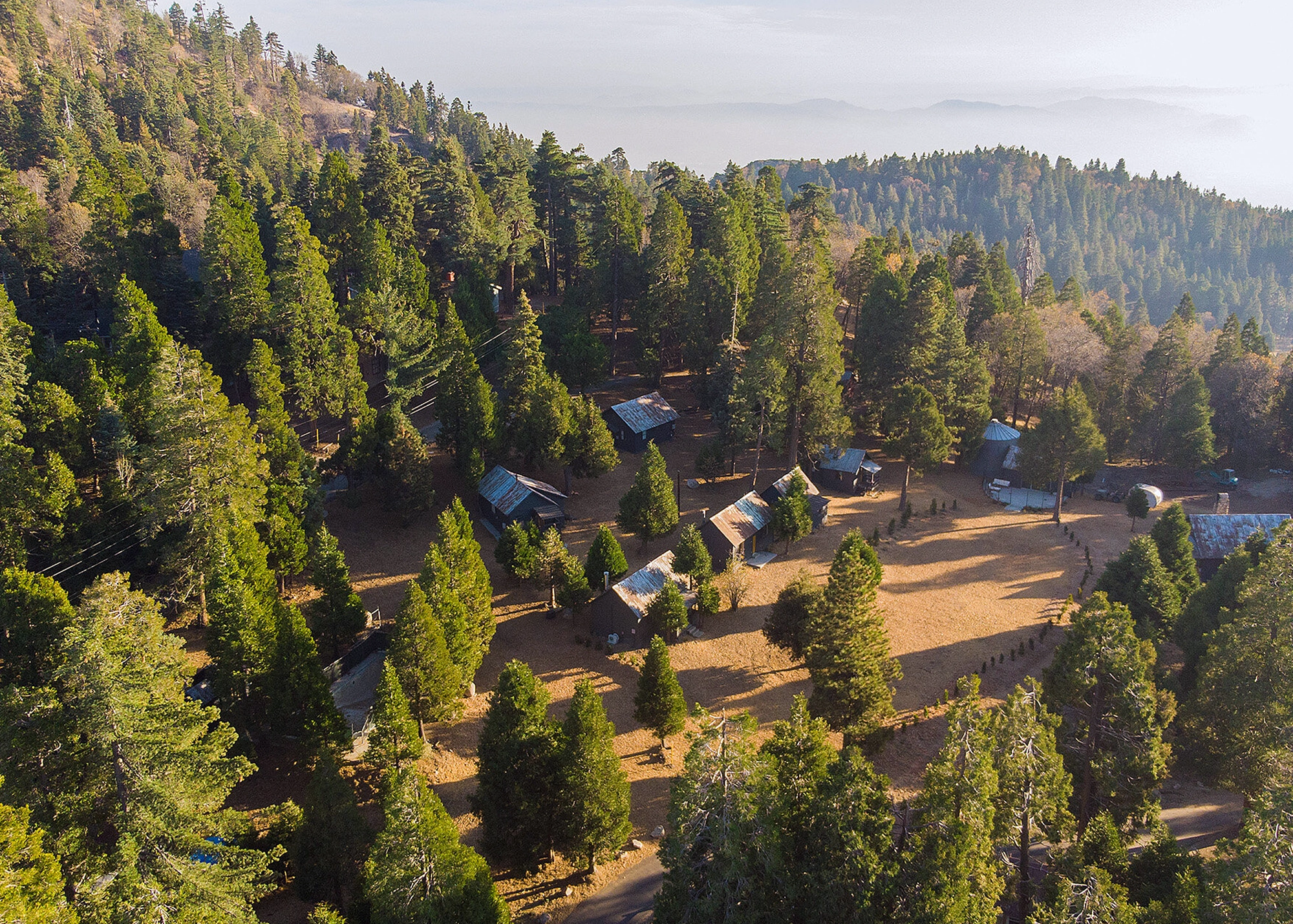 Birds eye view of The Perch's cluster of cabins in a conifer forest near Lake Arrowhead, California.