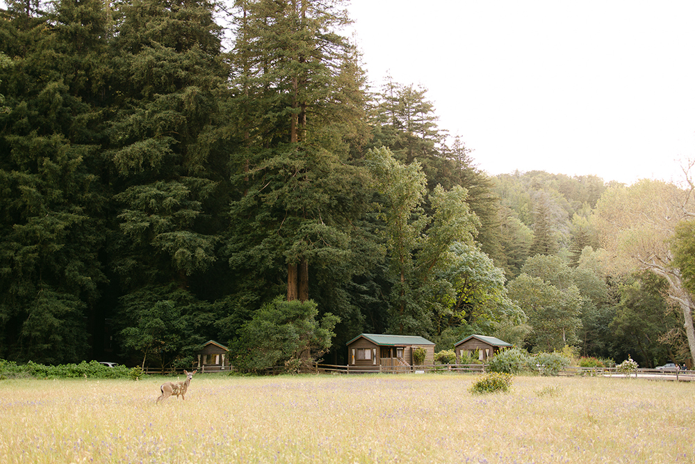Meadow view of rental cabins at Fernwood Campground and Resort in Big Sur, California.