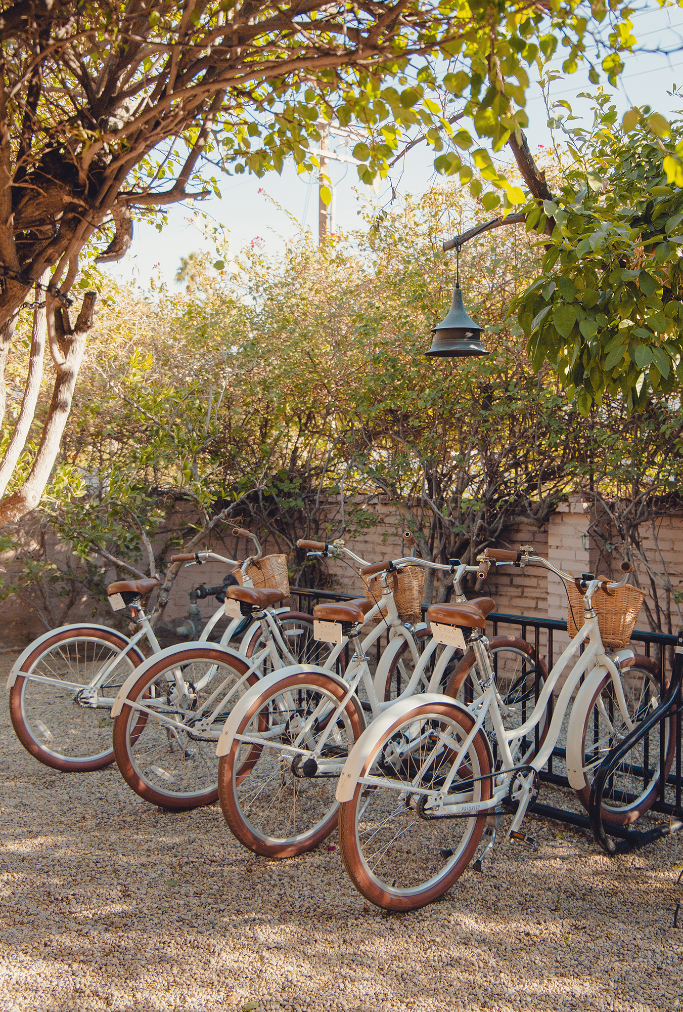 Cruiser bikes available for guests at boutique hotel Casa Cody in Palm Springs, California.