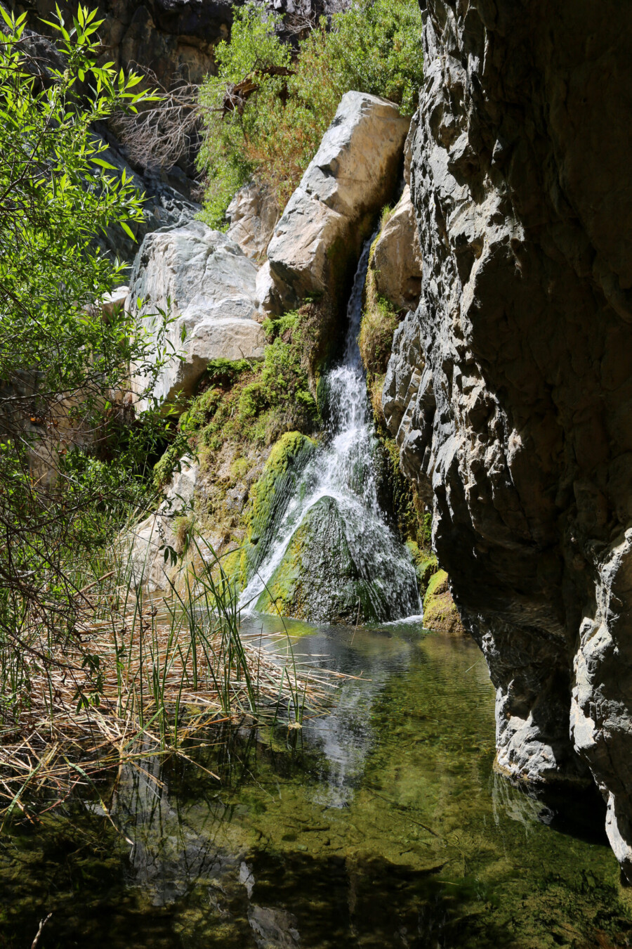 A small waterfall against rocky cliffs at Darwin Falls in Death Valley National Park.