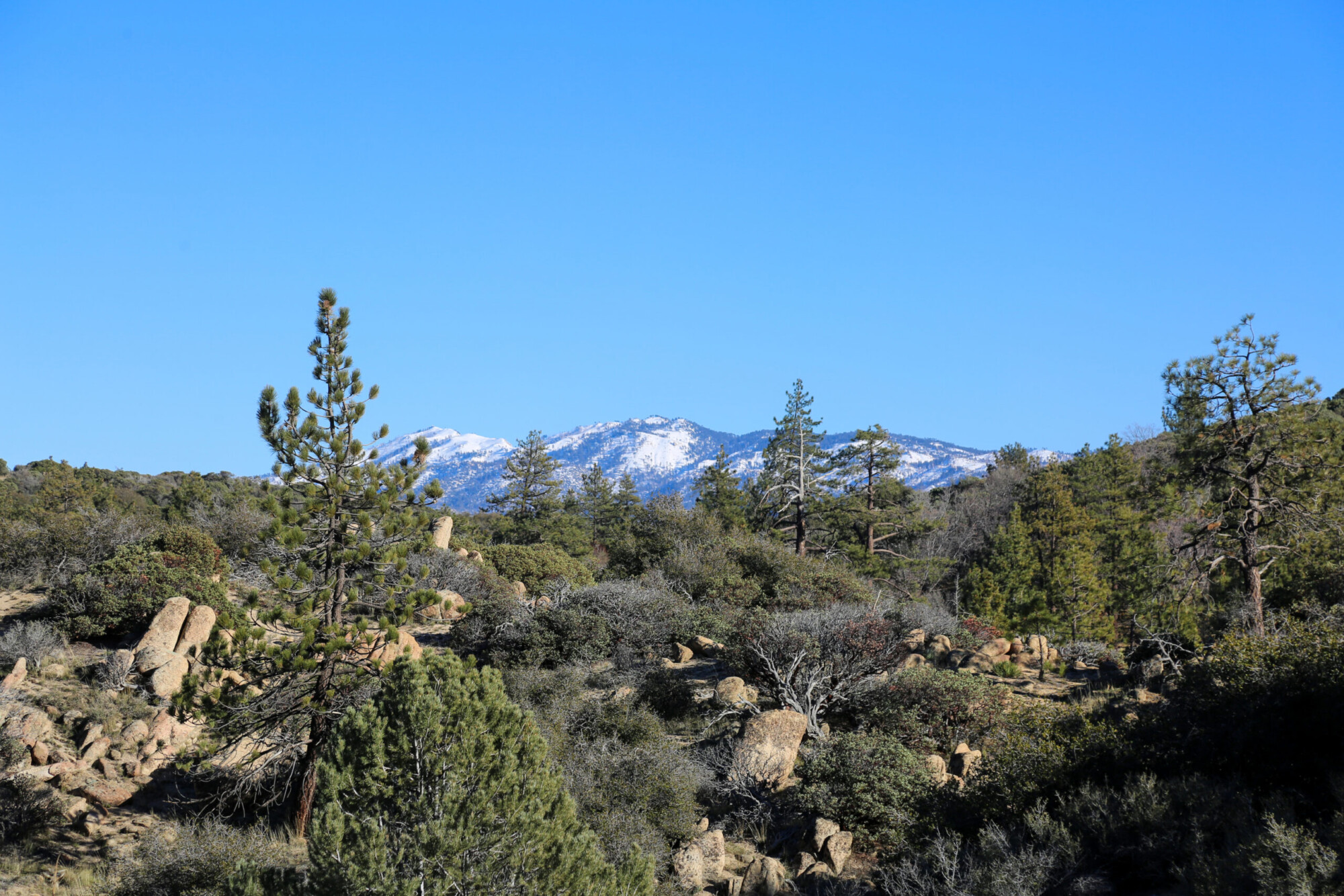 View of the Pinnacles hiking trail near Lake Arrowhead, California.