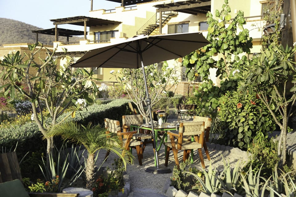 Outdoor dining table surrounded by lush vegetation at Rancho Pescadero Garden Restaurant in Todos Santos, Baja California, Mexico.