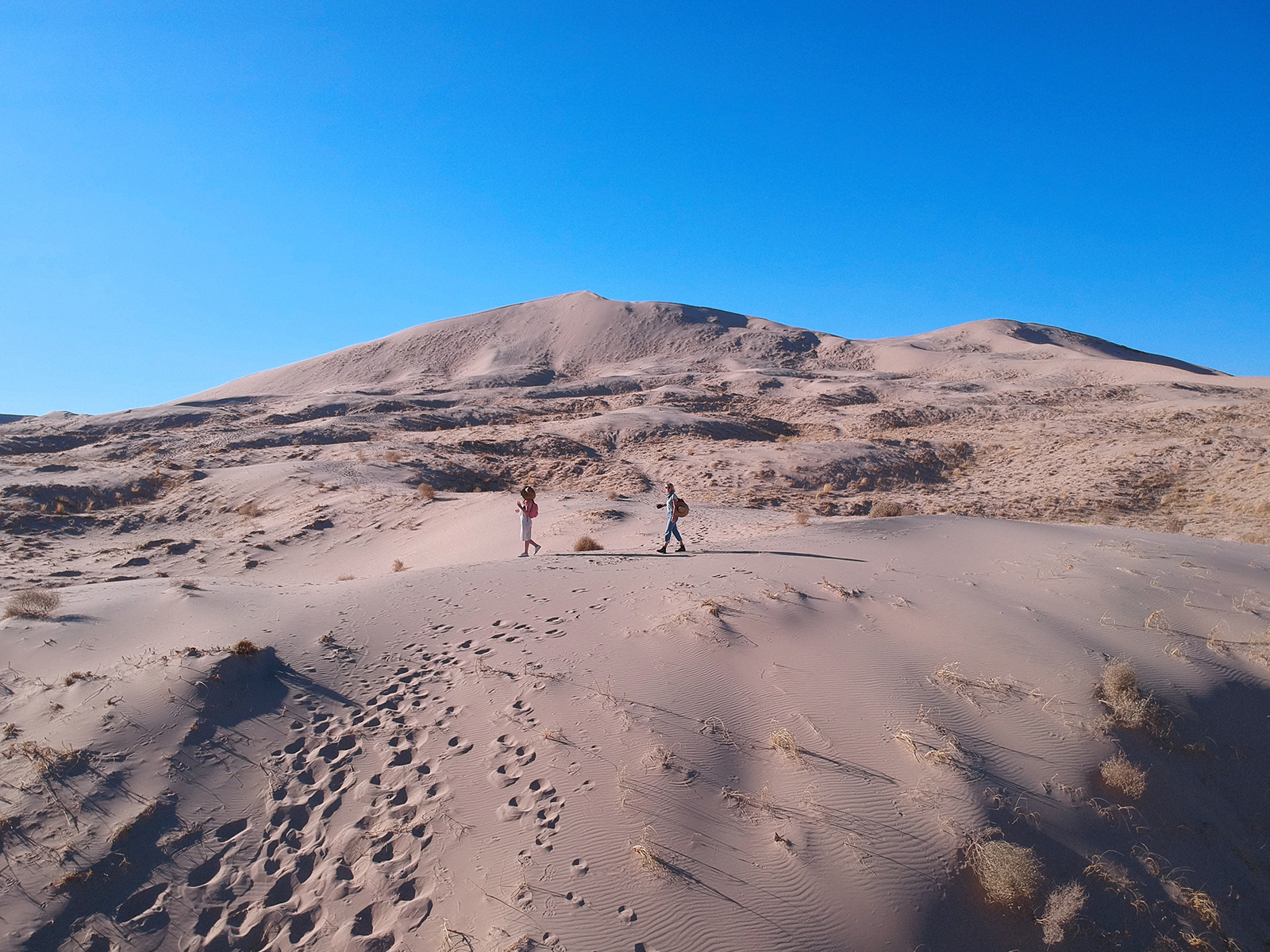 Two people walking across sand dunes in Califorrnia.