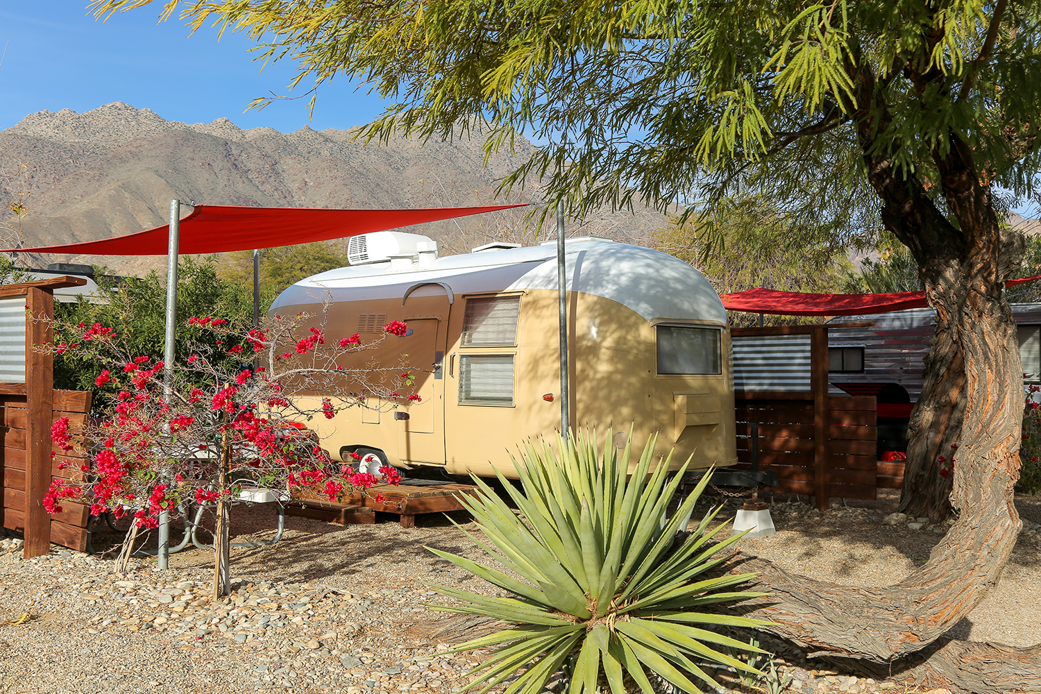 Photo of a yellow and white vintage trailer with a red tarp to shade the outdoor use area with various desert plants surrounding it at the Palm Canyon Hotel & RV Resort in Borrego Springs, California.