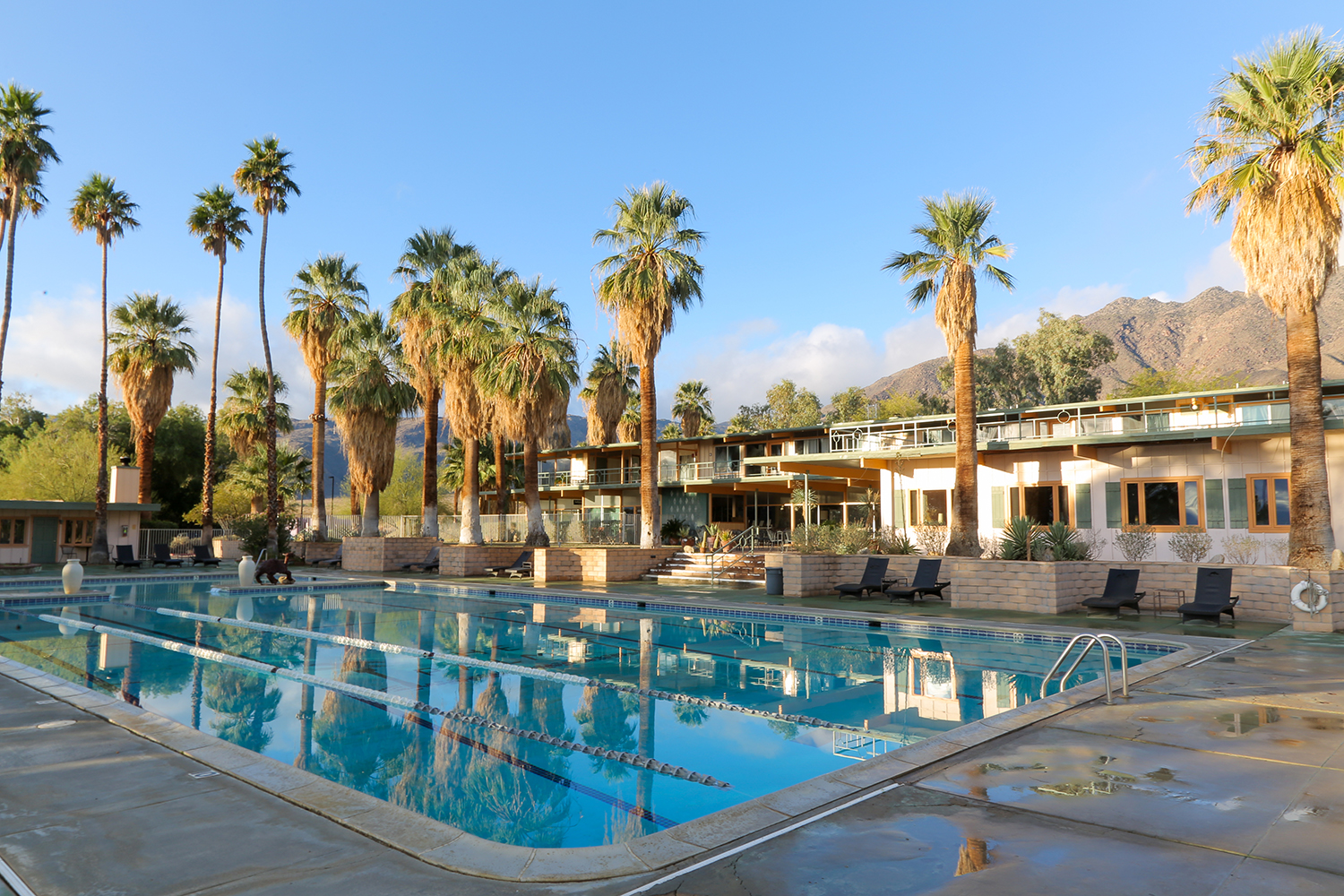 View of an Olympic sized pool with lodging and palm trees alongside at The Palms at Indian Head in Borrego Springs, California.