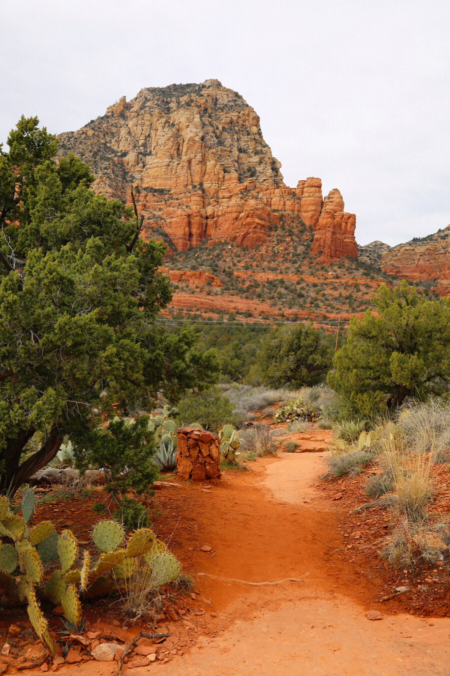 The Sedona Teacup Trail through desert flora with rock formations in the distance in Sedona, Arizona.