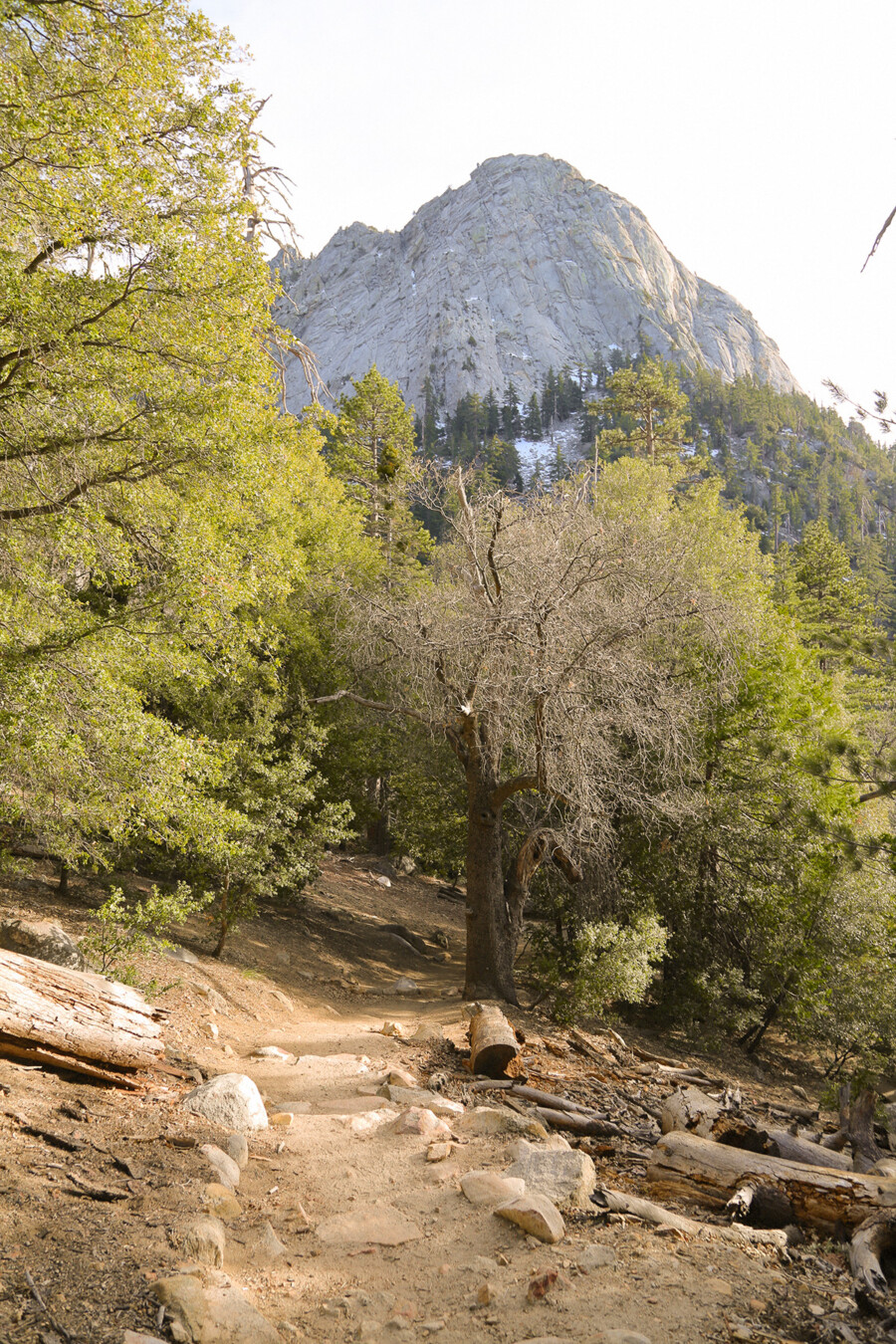 Landscape views from a hiking trail in Idyllwild, California.