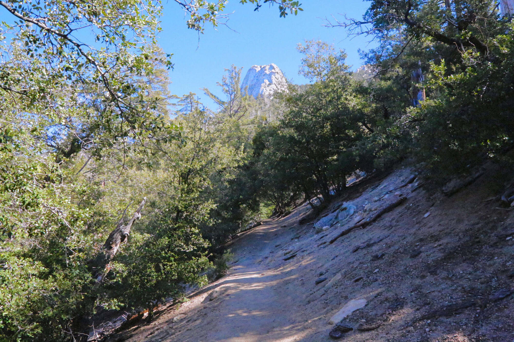Tahquitz Peak hiking trail in Idyllwild, California.