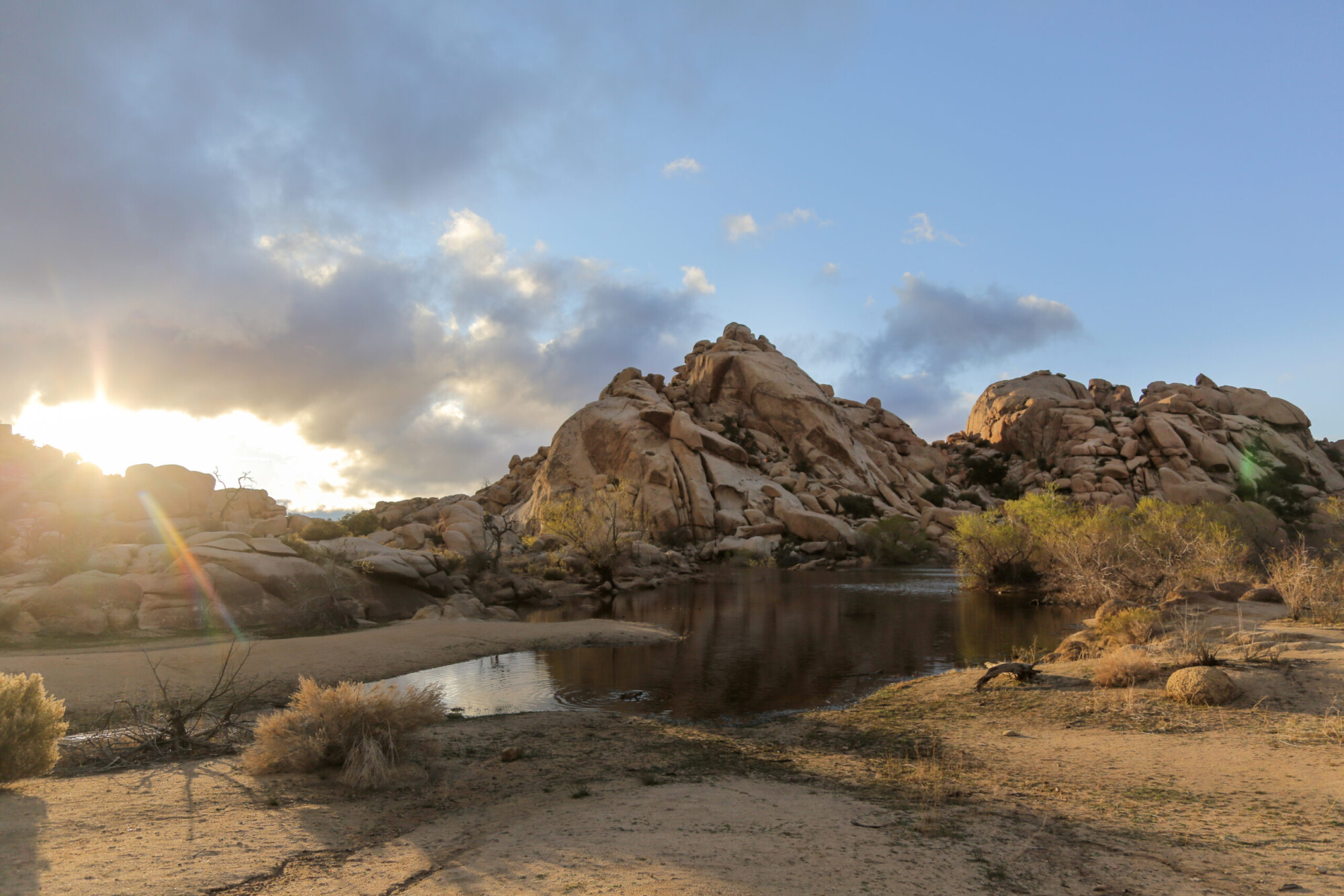 Landscape view of water in Barker Dam with boulder formations in the background on the Barker Dam Trail in Joshua Tree National Park, California.