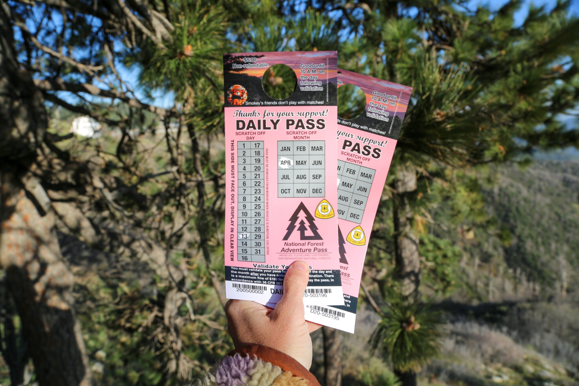 Two daily passes held up in front of conifer trees. Passes are valid for hikes and attractions in and around Lake Arrowhead, California.