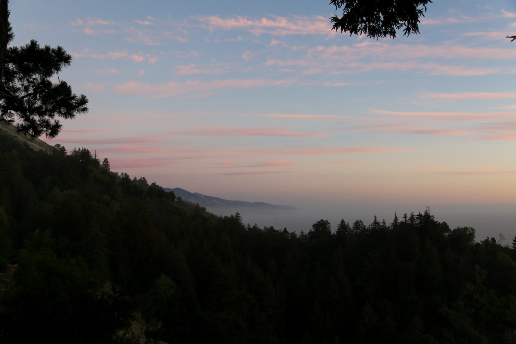 Landscape view of a hilly tree scape at sunset in Big Sur, California.